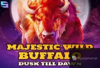 Majestic Wild Buffalo - Dusk Till Dawn